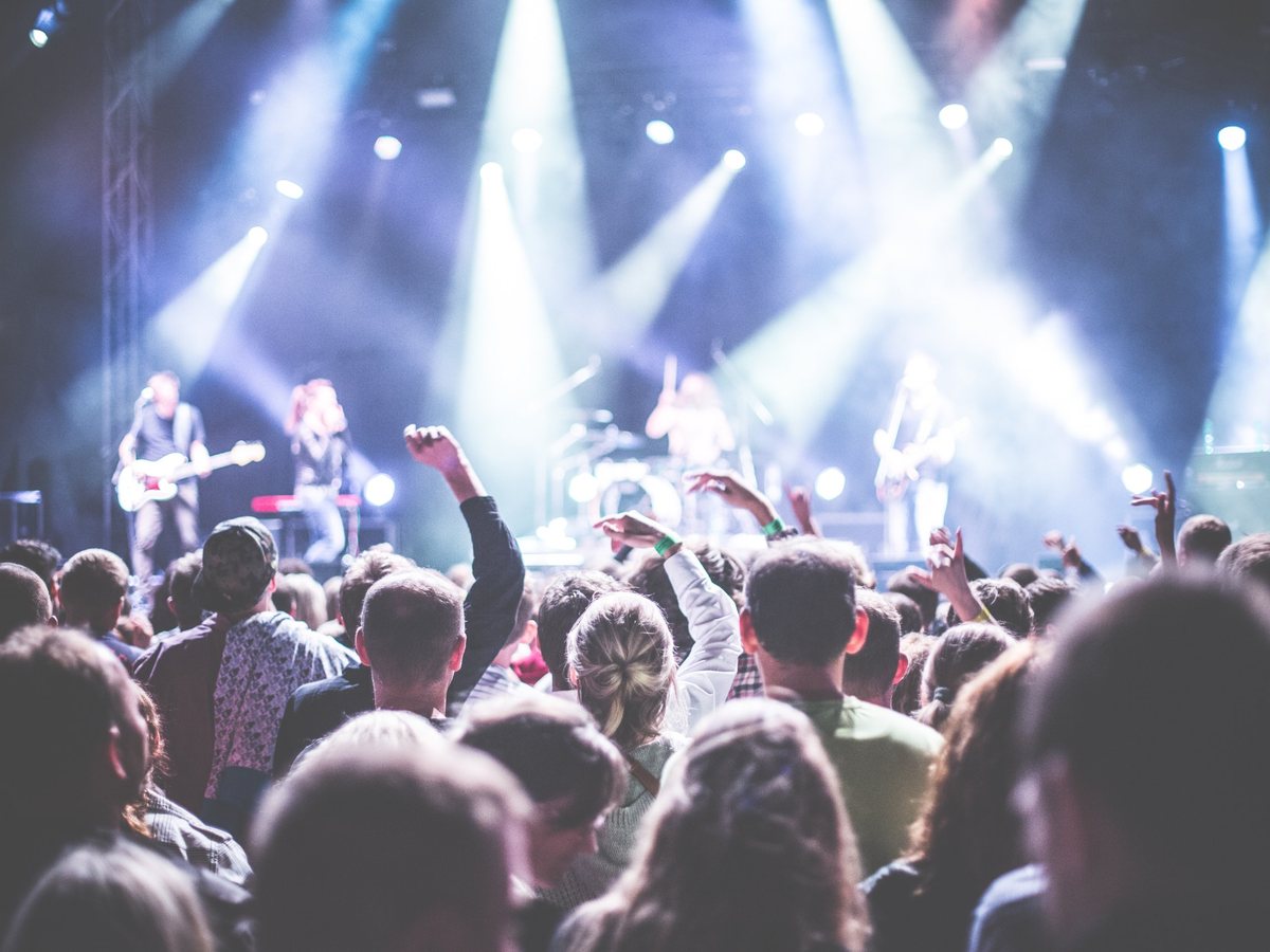 Le public, bras levés, devant la scène pendant un concert